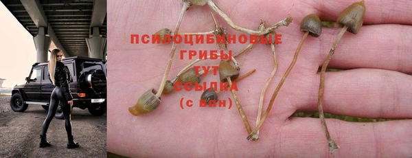 тгк Алзамай