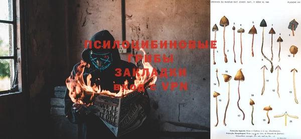тгк Алзамай