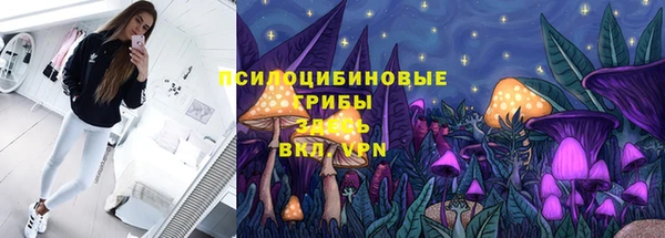 экстази Алексин